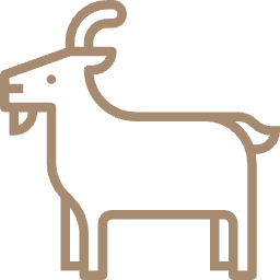 Fully Stocked Pharmacy